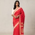 saree for women in festival season and function.