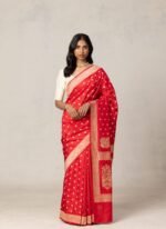 saree for women in festival season and function.