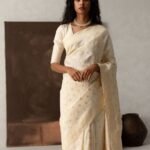 saree for women in festival season and function.