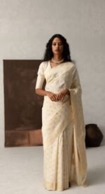 saree for women in festival season and function.