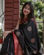 Banarasi Silk Saree Ideal for Women, special collection for festival and merrage. - Image 11