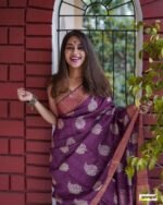 saree for women in festival season and function.