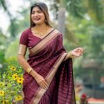 saree for women in festival season and function.
