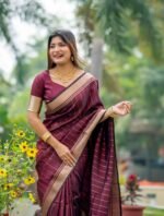 saree for women in festival season and function.
