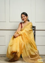 saree for women in festival season and function. - Image 4