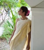 saree for women in festival season and function.