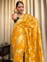 saree for women in festival season and function.