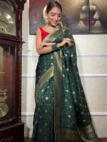 saree for women in festival season and function. - Image 3