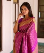 saree for women in festival season and function.
