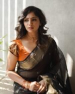 saree for women in festival season and function. - Image 2