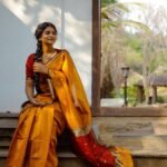 saree for women in festival season and function.