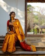 saree for women in festival season and function.