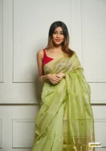 saree for women in festival season and function. - Image 12