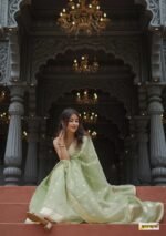 saree for women in festival season and function. - Image 8