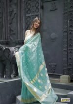 saree for women in festival season and function. - Image 11