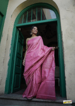 saree for women in festival season and function. - Image 10