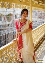 saree for women in festival season and function. - Image 5