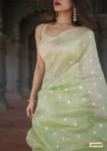 saree for women in festival season and function. - Image 5