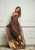 saree for women in festival season and function. - Image 10