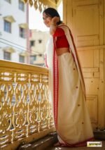 saree for women in festival season and function. - Image 11