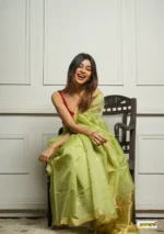 saree for women in festival season and function. - Image 10