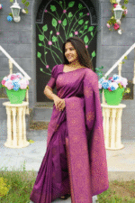 saree for women in festival season and function.