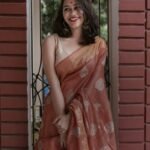 saree for women in festival season and function.