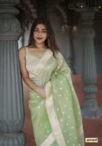 saree for women in festival season and function.