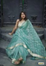 saree for women in festival season and function. - Image 9