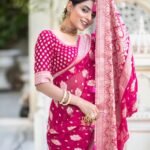 saree for women in festival season and function.