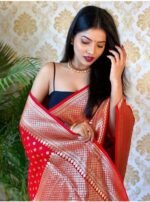 saree for women in festival season and function. - Image 4