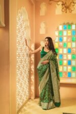 saree for women in festival season and function. - Image 3