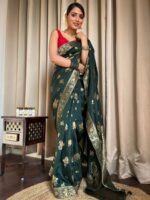 saree for women in festival season and function. - Image 5