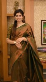saree for women in festival season and function. - Image 8
