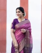 saree for women in festival season and function.