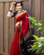 saree for women in festival season and function. - Image 6