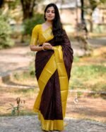 Banarasi Silk Saree Ideal for Women, special collection for festival and merrage. - Image 6