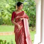 saree for women in festival season and function. - Image 3