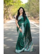saree for women in festival season and function. - Image 2