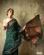 saree for women in festival season and function. - Image 3