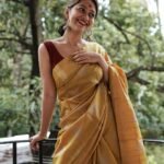 saree for women in festival season and function.