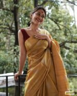 saree for women in festival season and function.