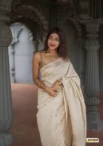 saree for women in festival season and function. - Image 5