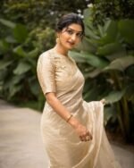 saree for women in festival season and function.