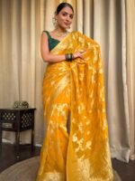 saree for women in festival season and function. - Image 6