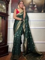 saree for women in festival season and function. - Image 4