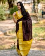 Banarasi Silk Saree Ideal for Women, special collection for festival and merrage. - Image 5