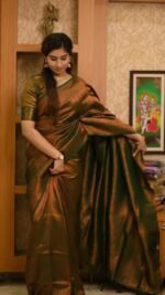 saree for women in festival season and function. - Image 3