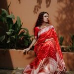 saree for women in festival season and function.