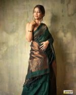 saree for women in festival season and function. - Image 2